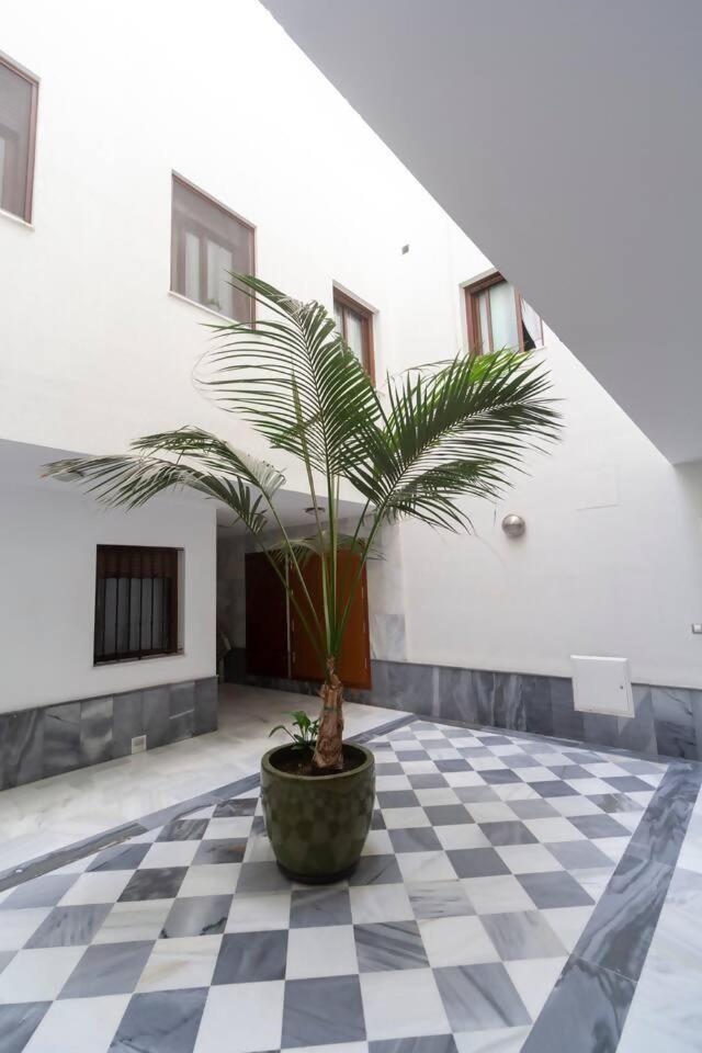 Sh Pilucas Home Moderno Apartamento Con Patio Cádiz Kültér fotó